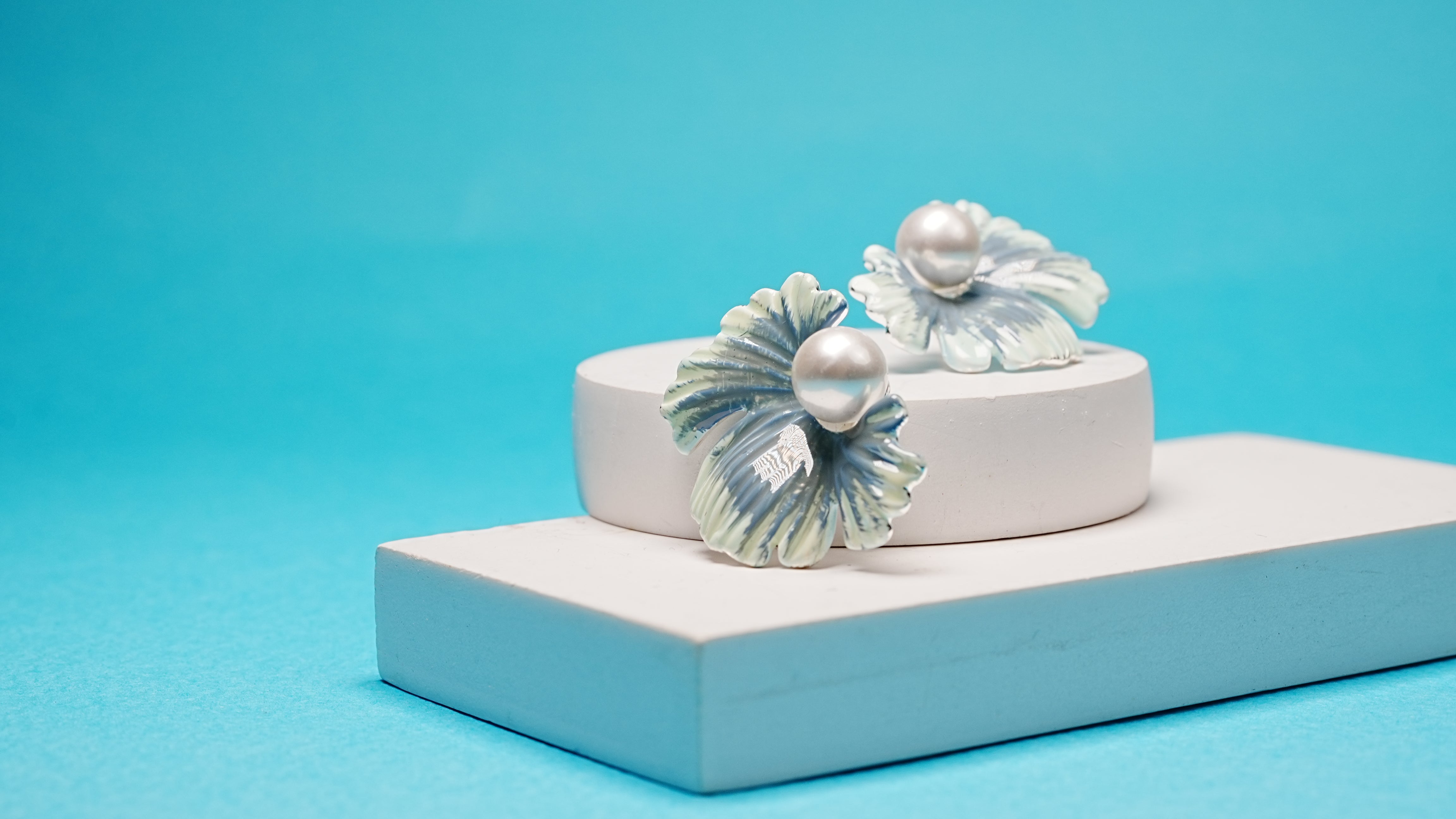 Lagoon shell