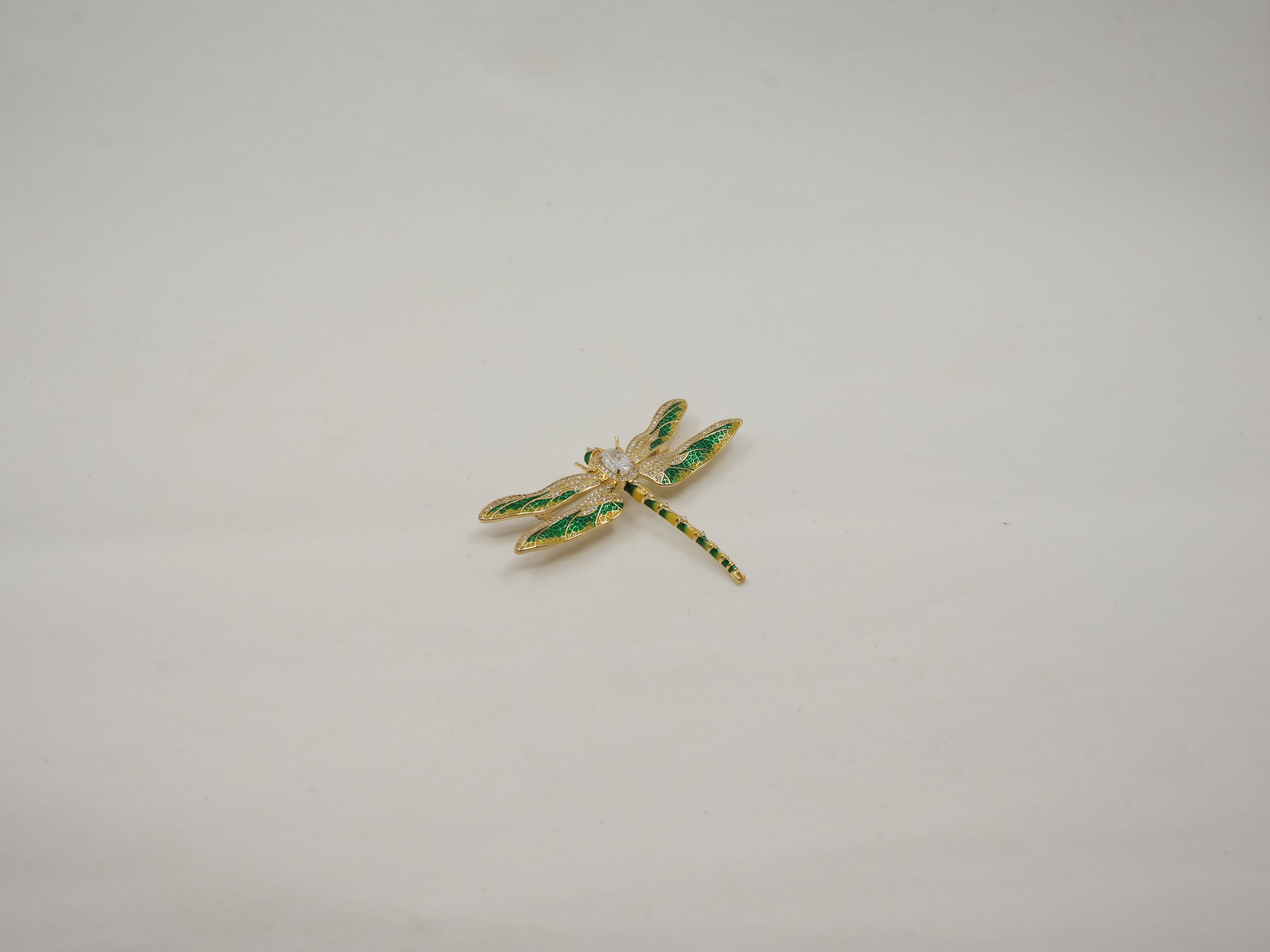 Green & yellow dragonfly