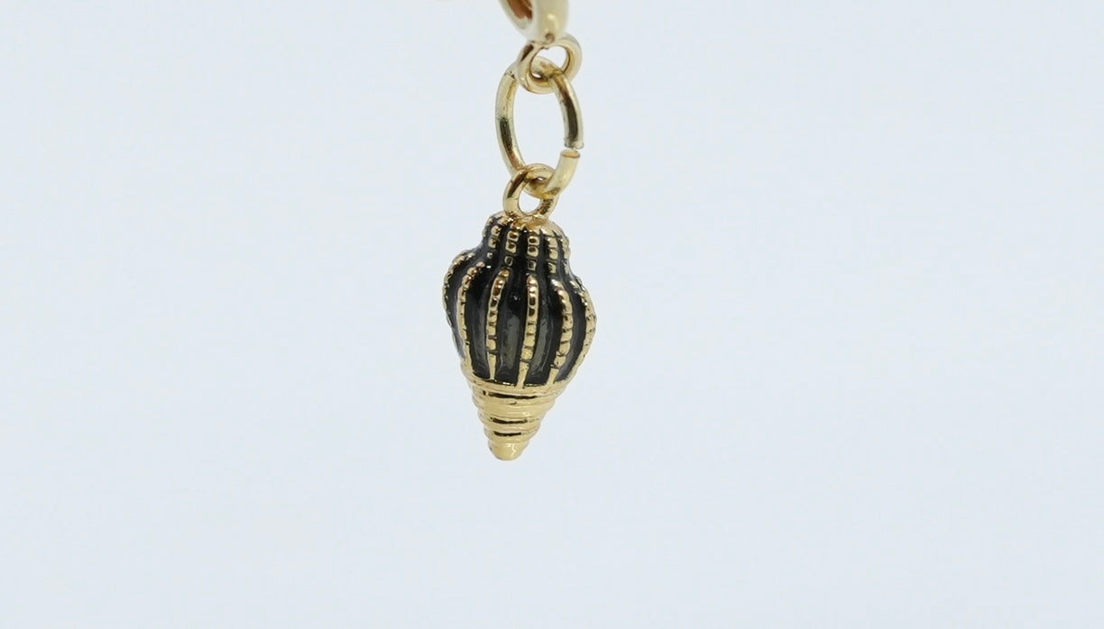 3D Sea Shell