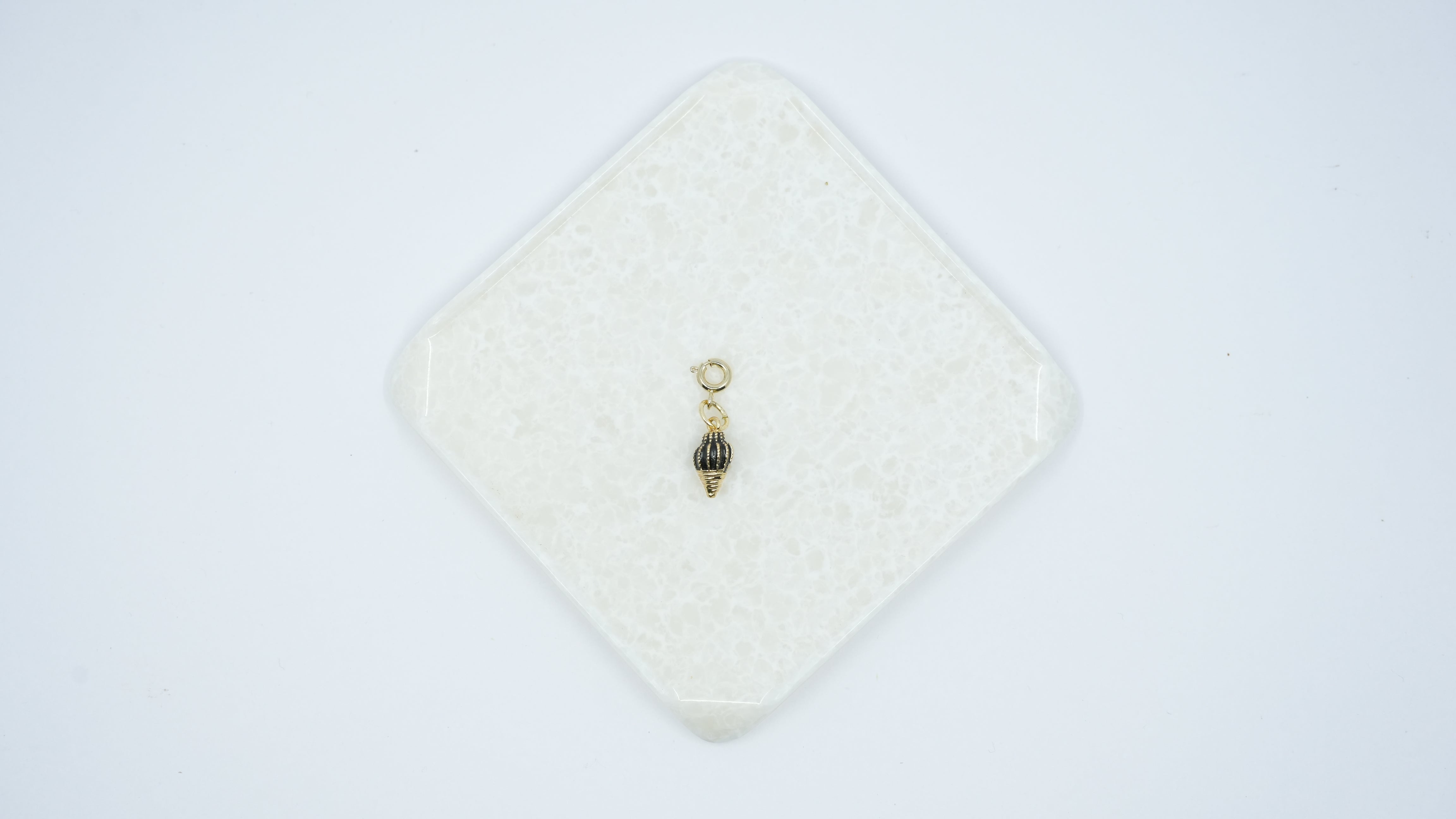 3D Sea Shell